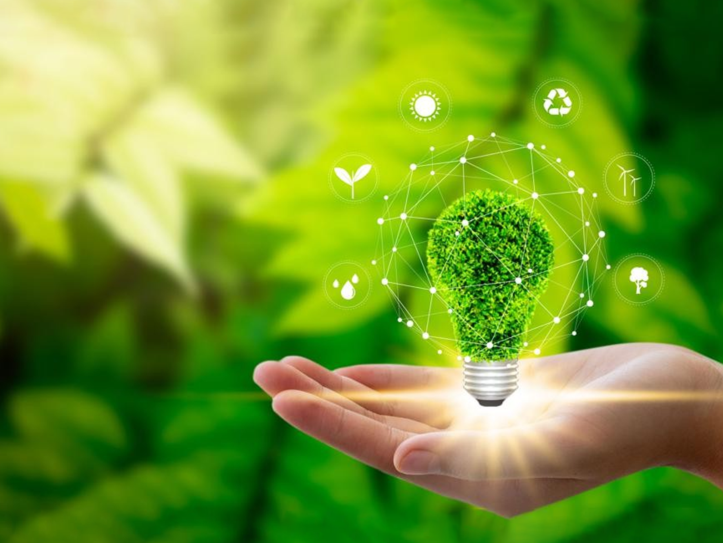 Sustainability Graphic